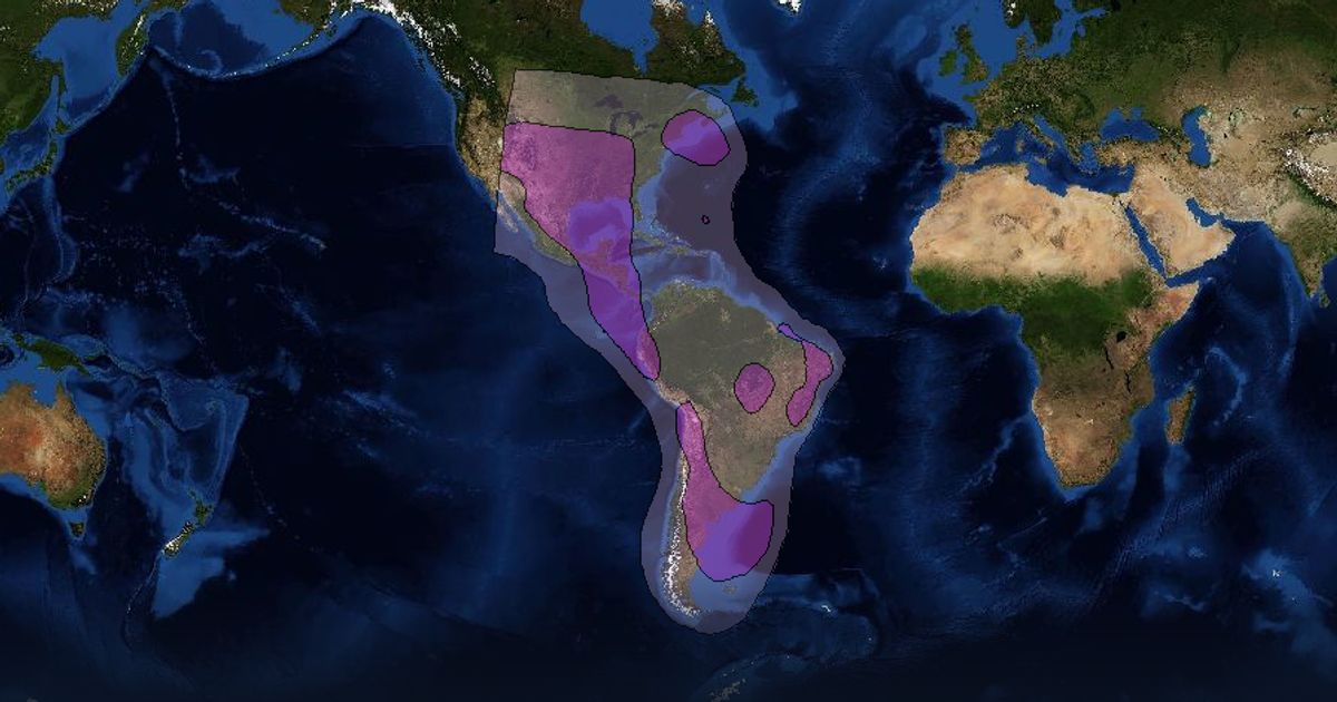 Intelsat 903 C-band West Hemi Beam beam footprint coverage map, C band